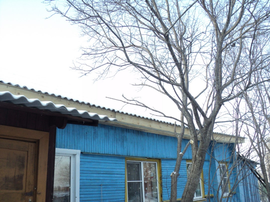 DSC03538 (Копировать)