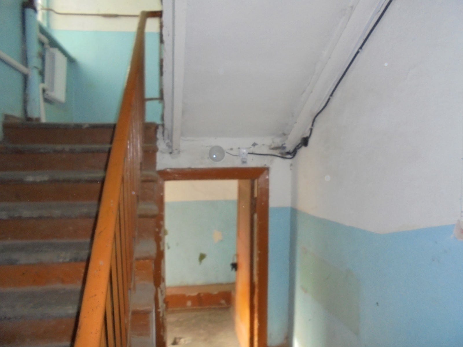 DSC08123 (Копировать)