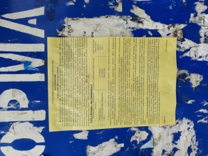 первое фото