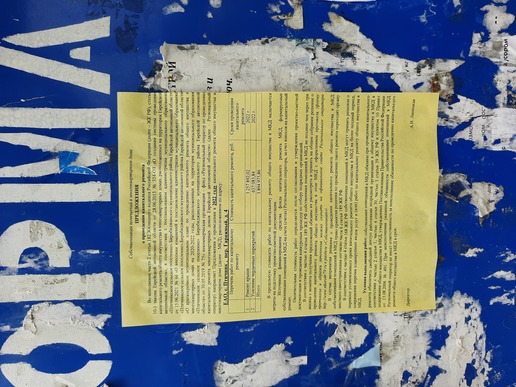 первое фото